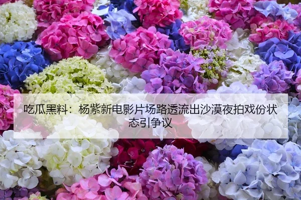 吃瓜黑料：杨紫新电影片场路透流出沙漠夜拍戏份状态引争议